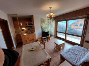 Bel appartement 2 pièces, terrasse, parking, Serre Chevalier - FR-1-330E-138